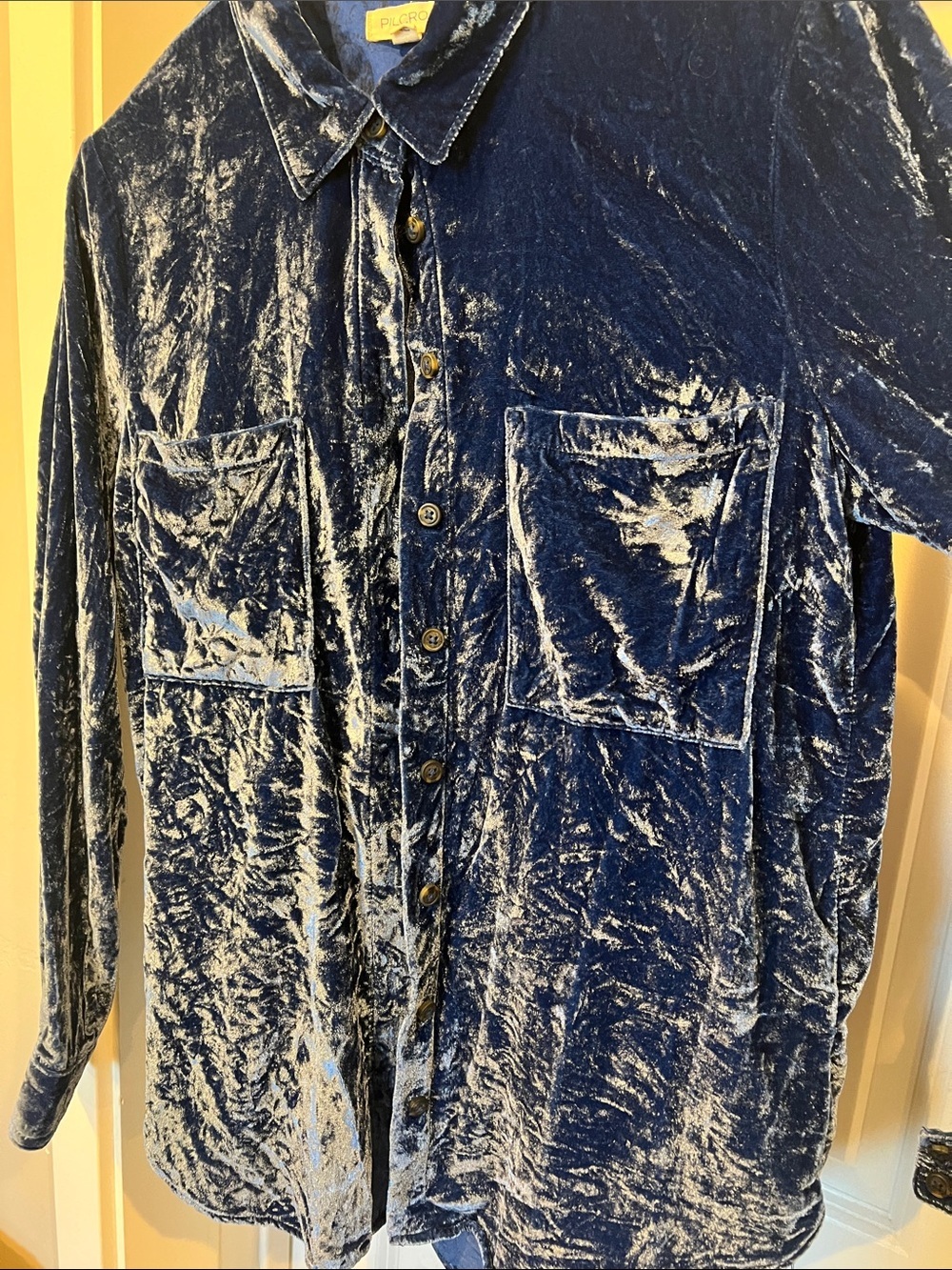 Pilcro Blue Velvet Button-Down Shirt - Picture 3 of 7